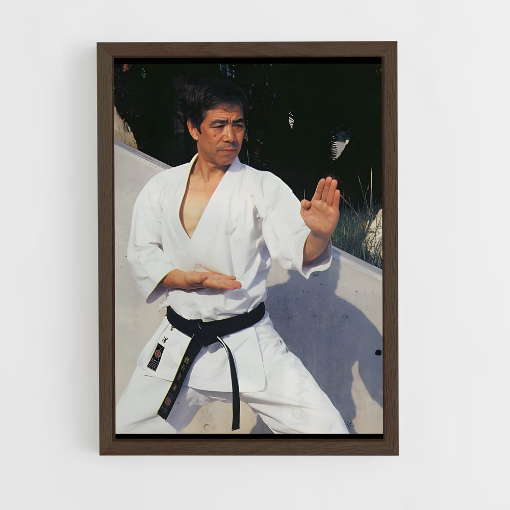 Poster Esprit de Karaté (vue 5)